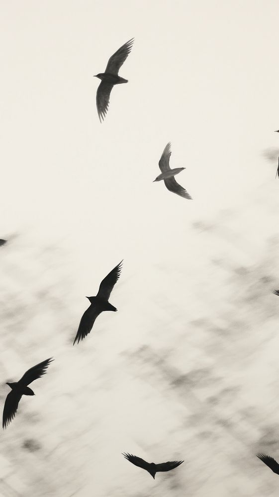 Flock of birds flying animal monochrome silhouette. AI generated Image by rawpixel.