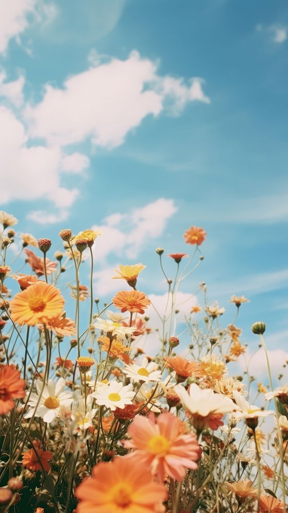 Flowers sky landscape outdoors. AI generated Image by rawpixel.