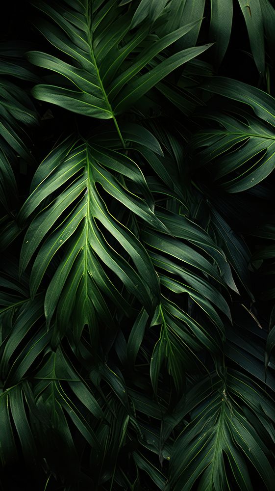 Tropical leaves wallpaper outdoors tropics nature. AI generated Image by rawpixel.