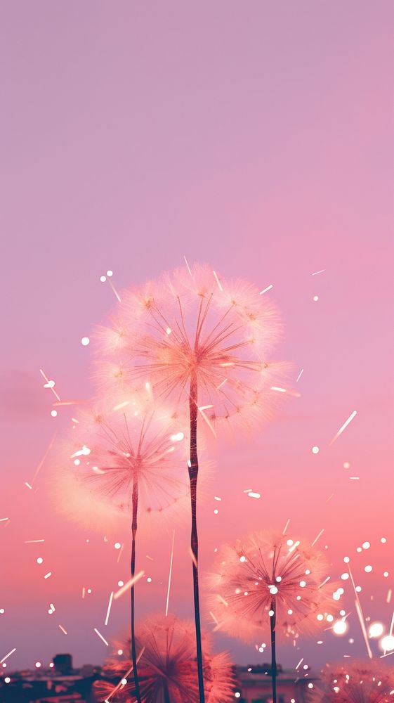 Firework fireworks dandelion outdoors. AI generated Image by rawpixel.