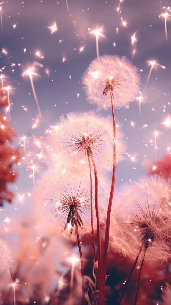 Firework dandelion fireworks outdoors. AI generated Image by rawpixel.