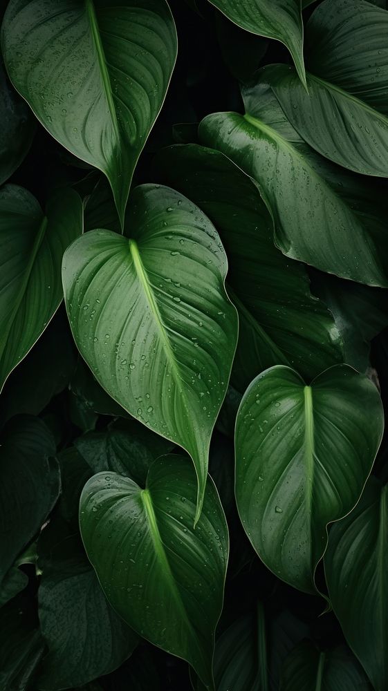 Green leaves nature plant leaf. AI generated Image by rawpixel.
