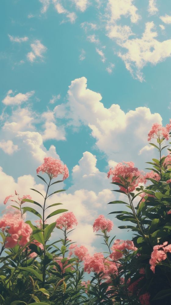 Landscape sky outdoors blossom. AI generated Image by rawpixel.