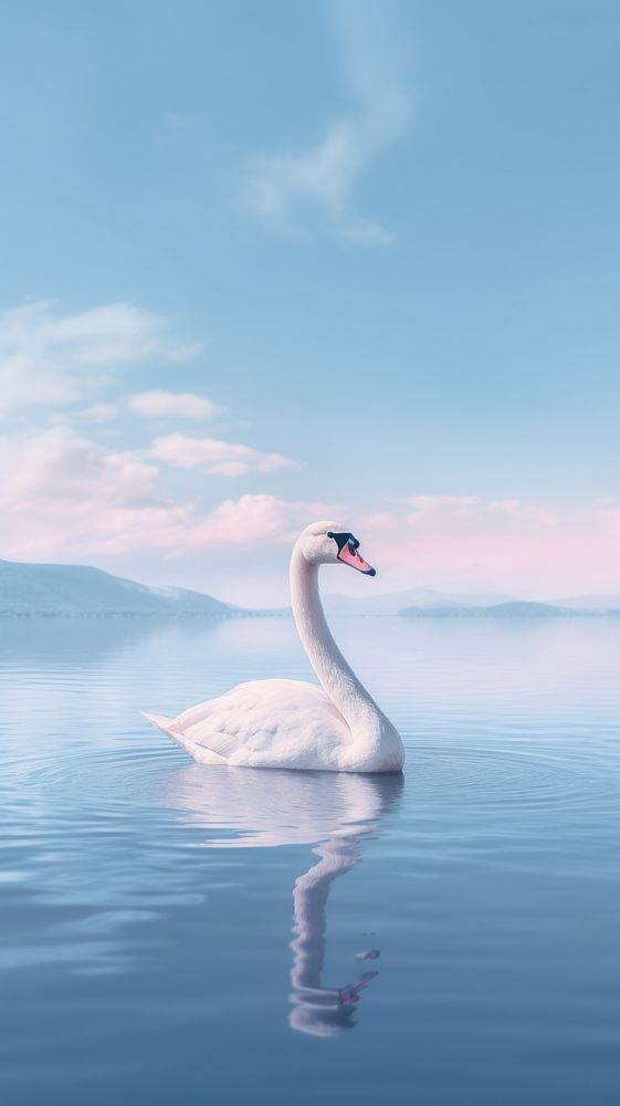 Little swan on the lake animal bird sky. AI generated Image by rawpixel.