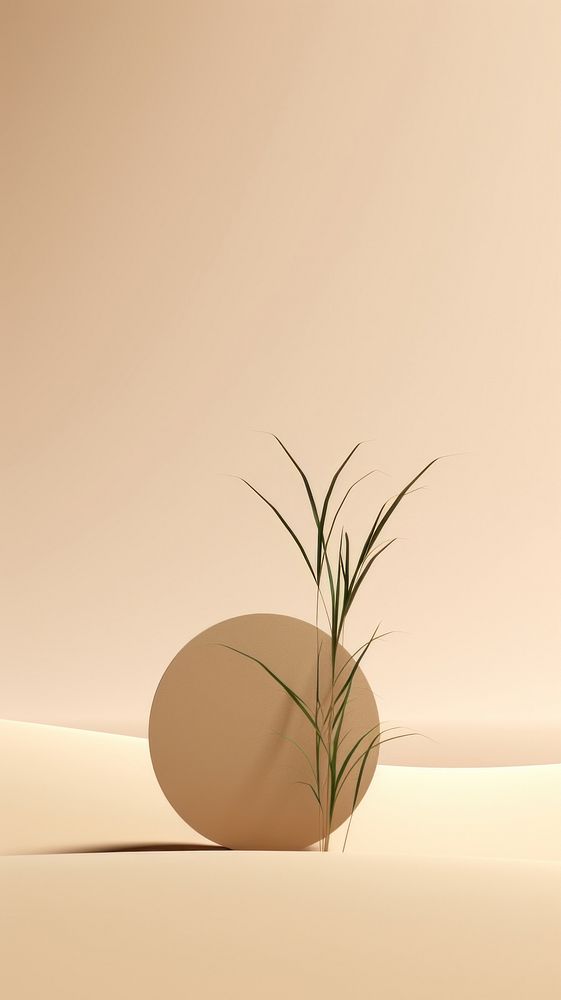 A sand dune with a small plant in it simplicity flowerpot sunlight. AI generated Image by rawpixel.