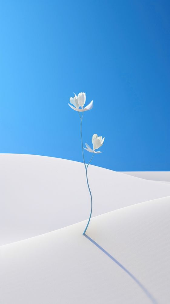 White sand dune with a plant outdoors nature flower. AI generated Image by rawpixel.