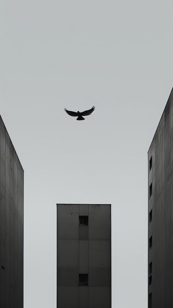 Bird fly city architecture building. AI generated Image by rawpixel.