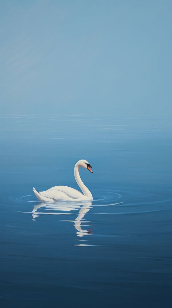 Swan in the lake animal bird reflection. AI generated Image by rawpixel.
