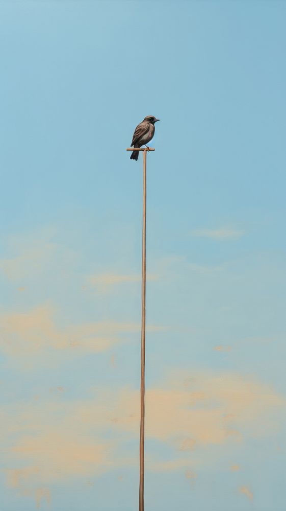 A bird on the electric pole with sky background animal wildlife outdoors. AI generated Image by rawpixel.