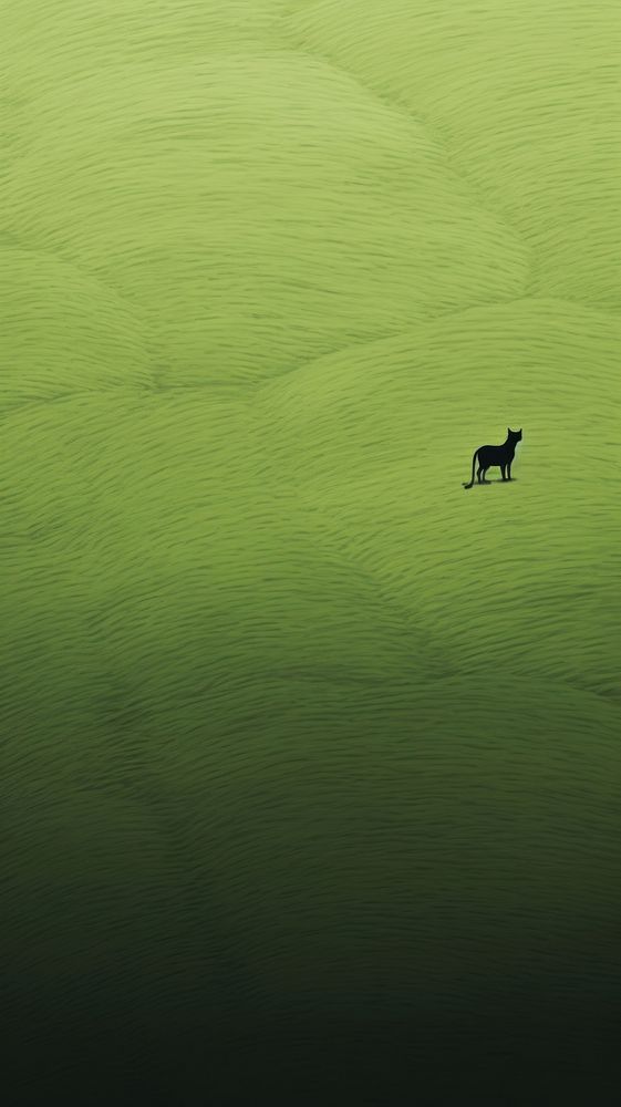 Green landscape with black cat grassland outdoors animal. AI generated Image by rawpixel.