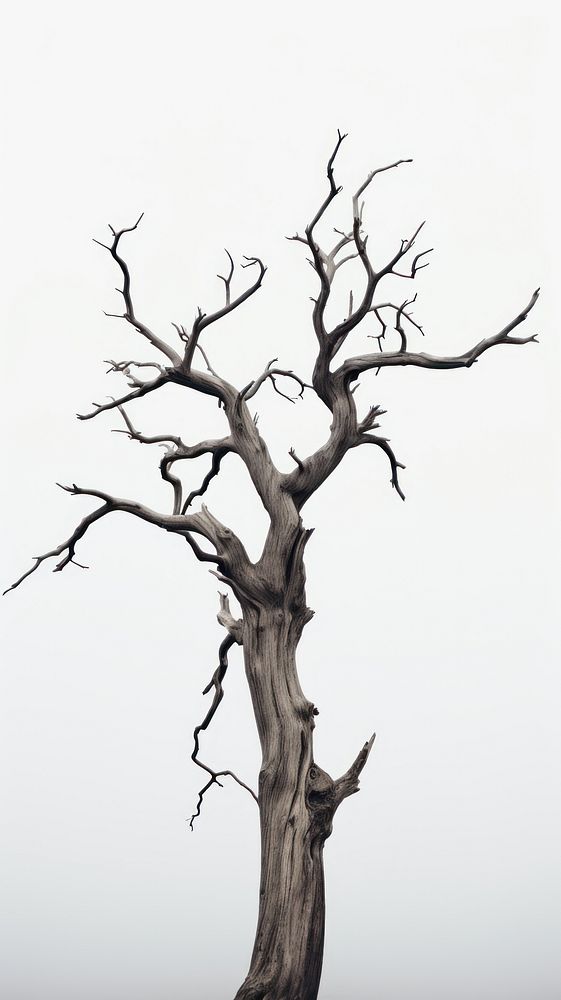 Dead tree sketch plant tranquility. AI generated Image by rawpixel.