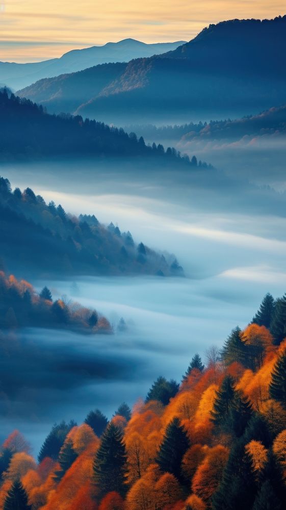 Nature forest autumn landscape. AI generated Image by rawpixel.
