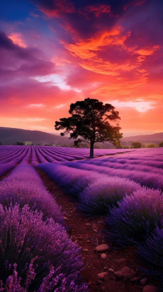 Lavender nature tree landscape. AI generated Image by rawpixel.