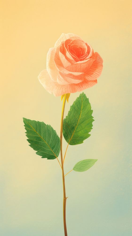 A rose flower plant inflorescence. AI generated Image by rawpixel.