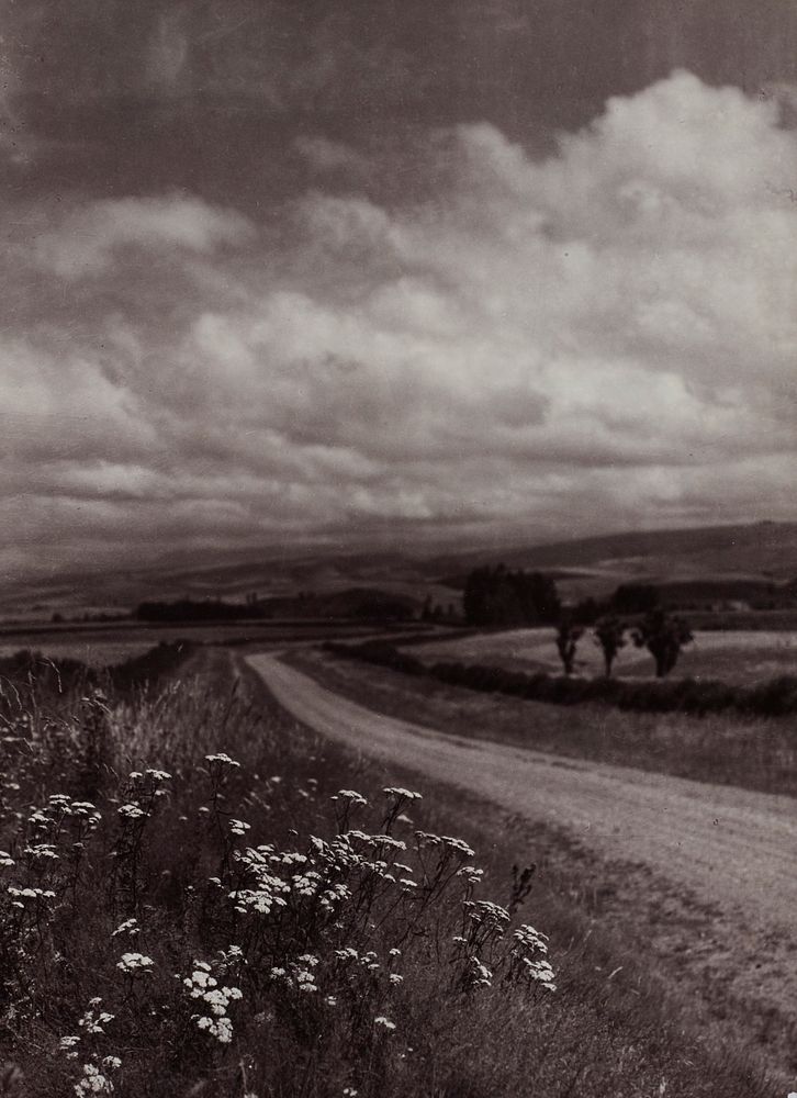 Near Asburton (c.1920-1946) by Thelma Kent.