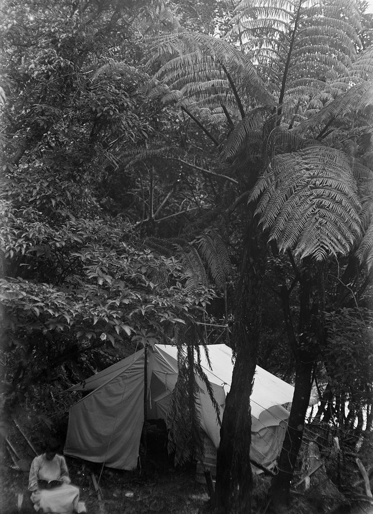 Crail Bay - Tent amongst the Bush (1908) by Fred Brockett.