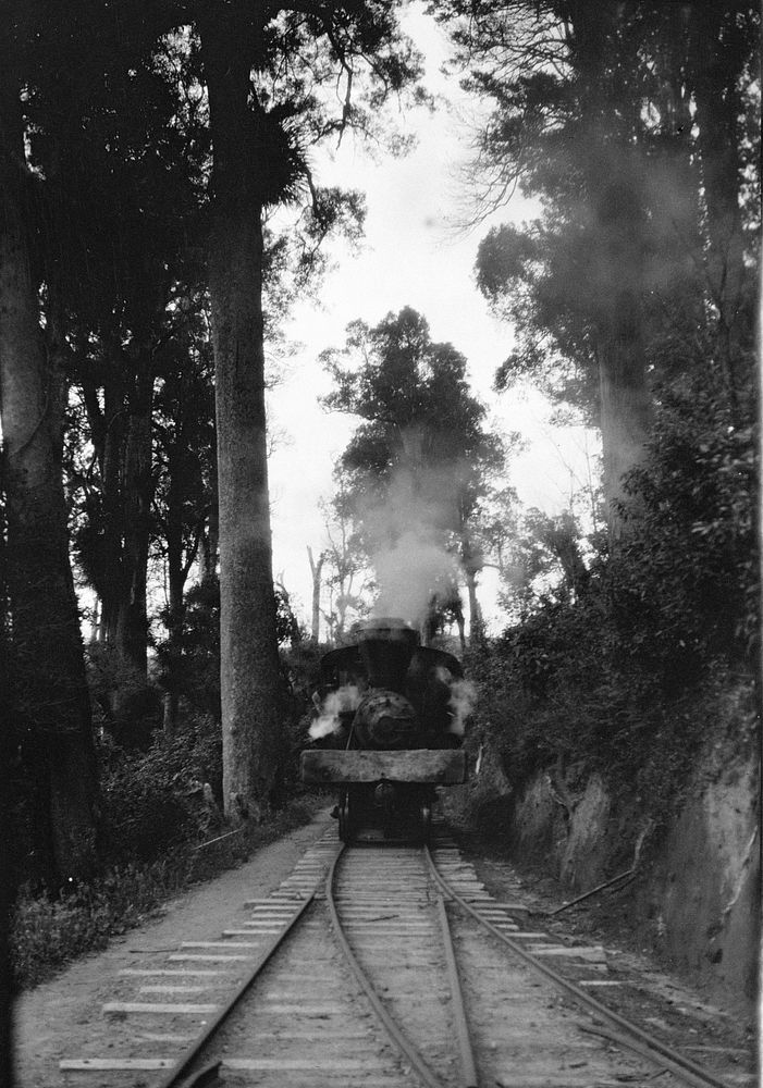 [North Island steam train] (1920s-1930s) by Roland Searle.