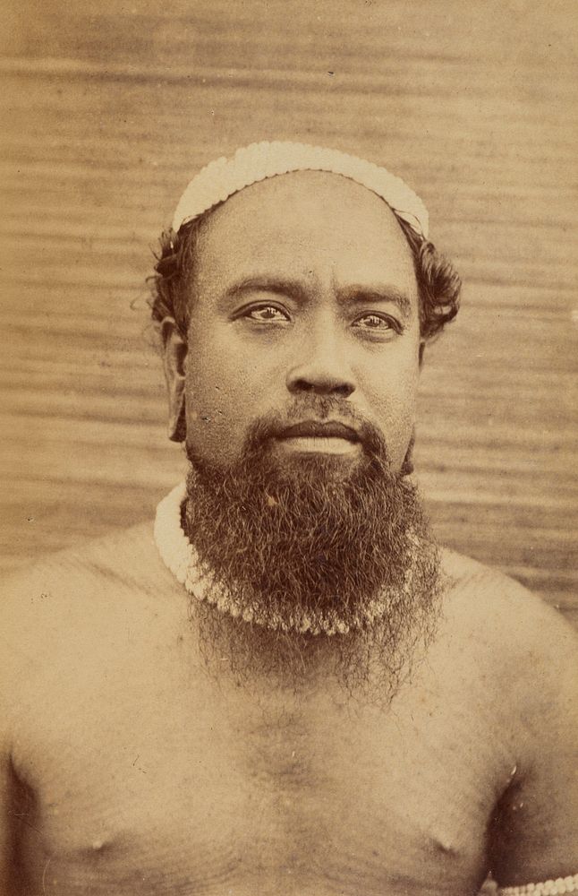 Stiabuke (?). From the album: Views in the Pacific Islands (1886) by Thomas Andrew.