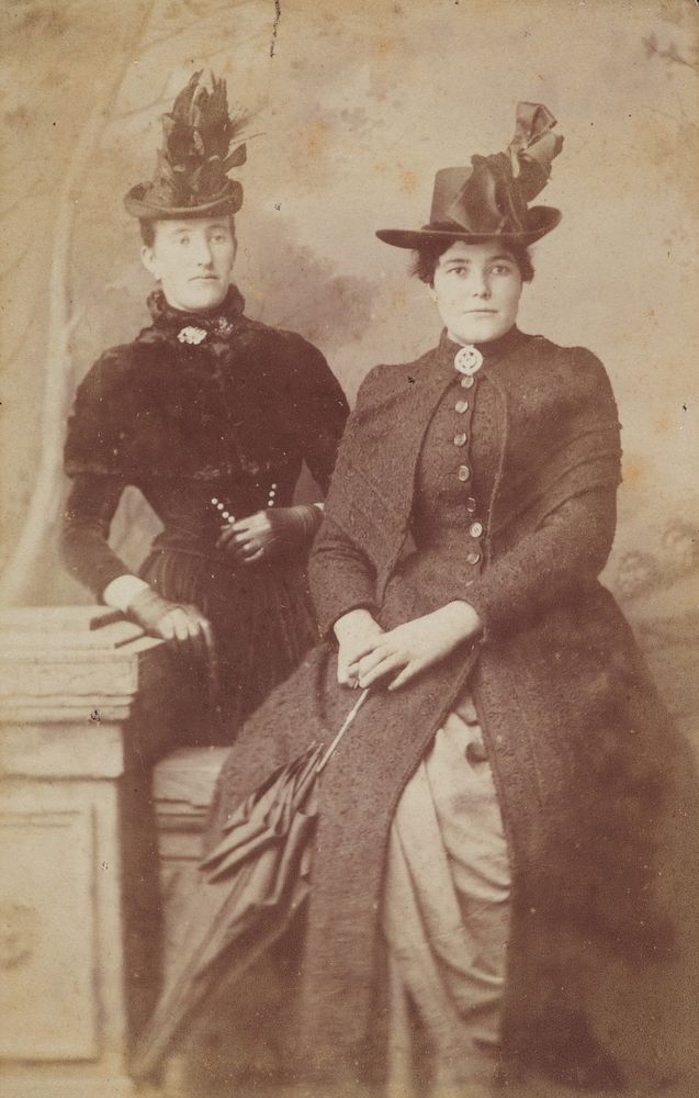 Mrs Stephenson and friend.  From the album: McDonald family carte-de-visite album. (1880-1899) by Norval.