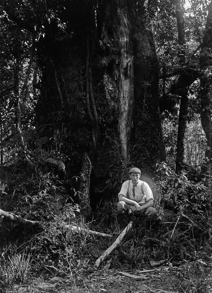 Man in Bush (circa 1910) by Fred Brockett.