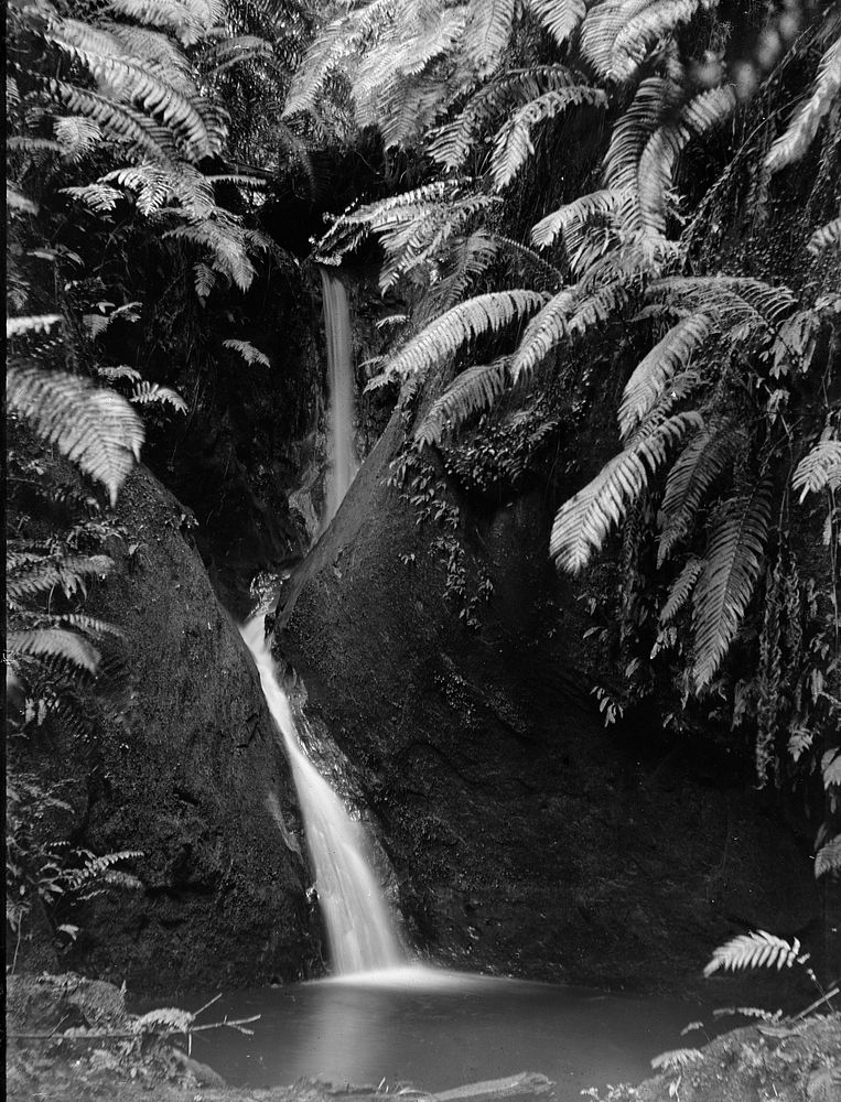 Clear Falls (circa 1910) by Fred Brockett.