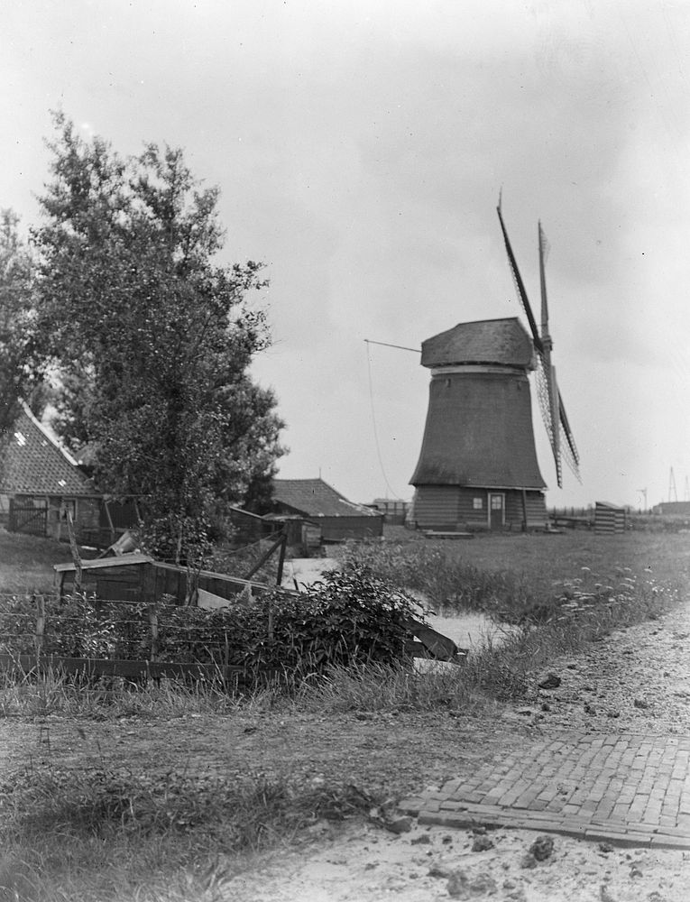 Country view with windmill (1906-1917) by George Crombie.