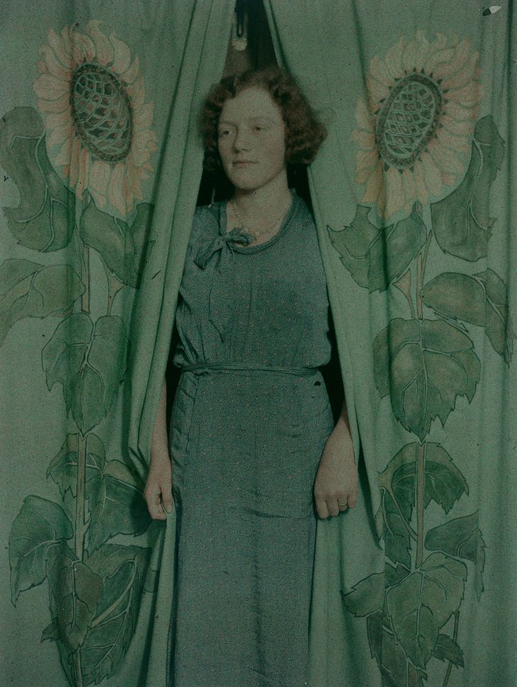 Woman with sunflower print curtains (1900-1930) by J W Chapman Taylor.