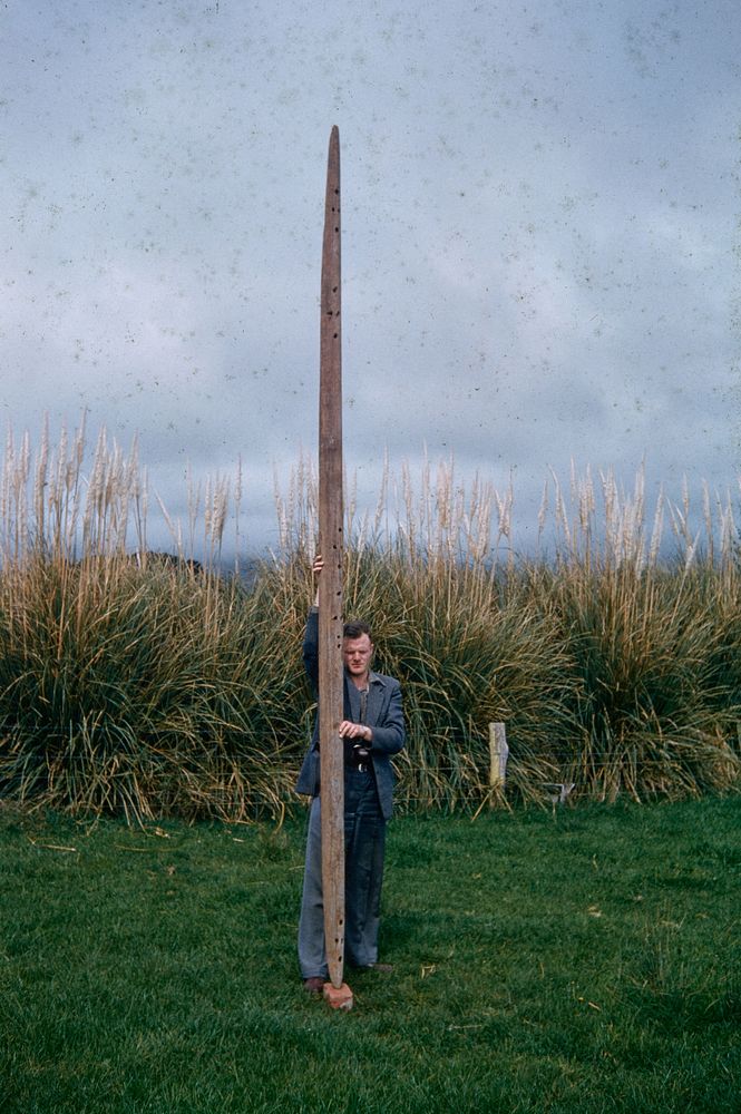 General view of Te Horo outrigger float - held vertically by Ian Keyes to show its impressive length (08 October 1960) by…