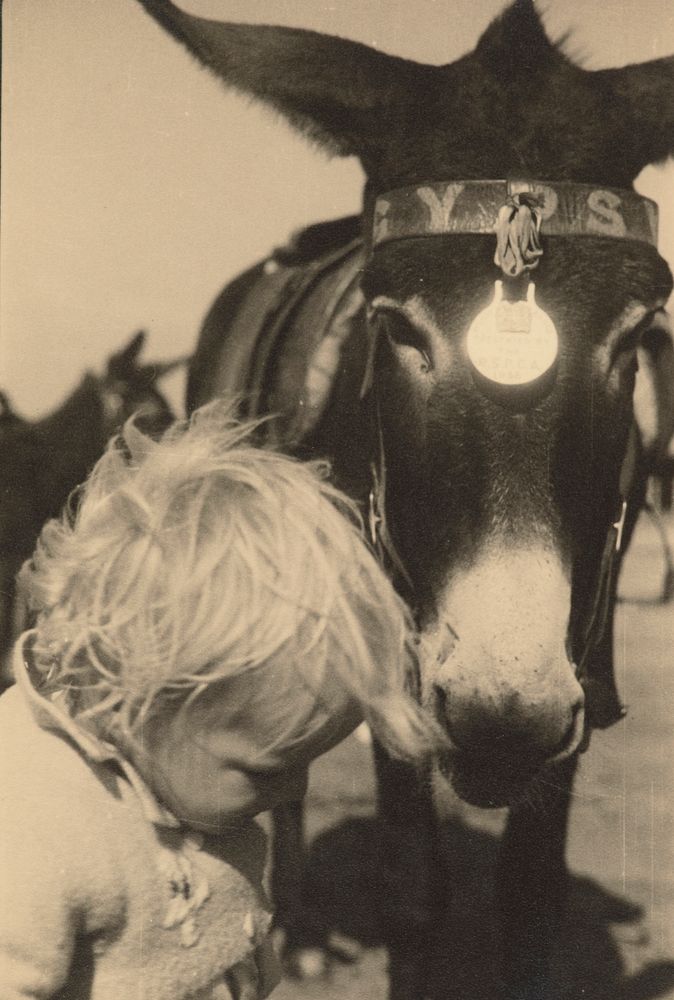 Joanna Johnson and 'Gypsy' the donkey, England (1930s) by Eric Lee Johnson.