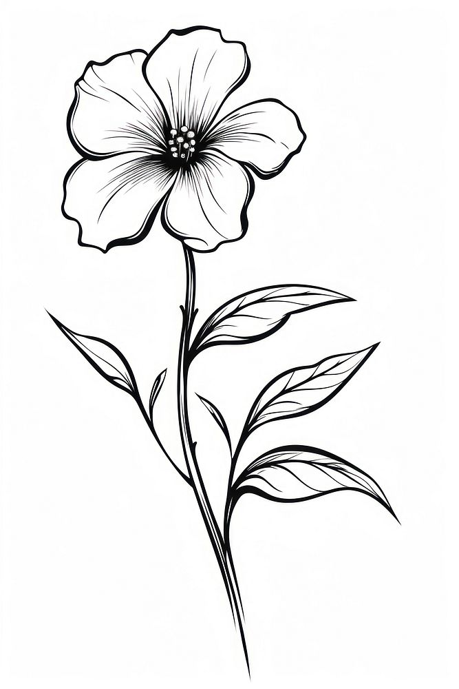 Beautiful flower sketch drawing plant. AI generated Image by rawpixel.