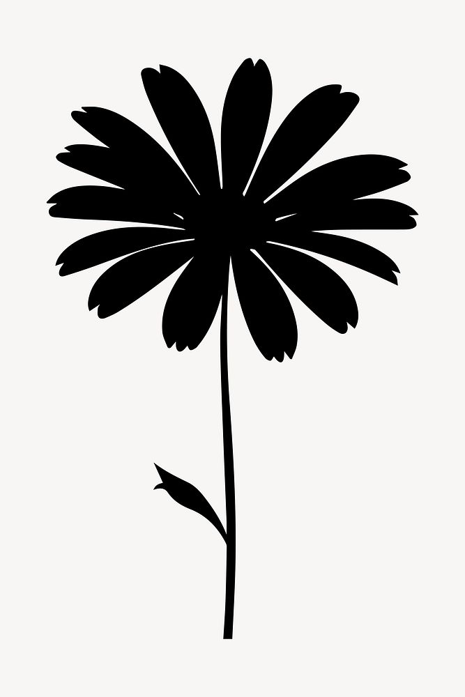 Daisy silhouette flower plant.