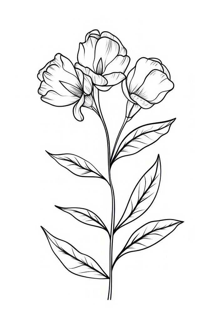 Floral sketch drawing plant. AI generated Image by rawpixel.