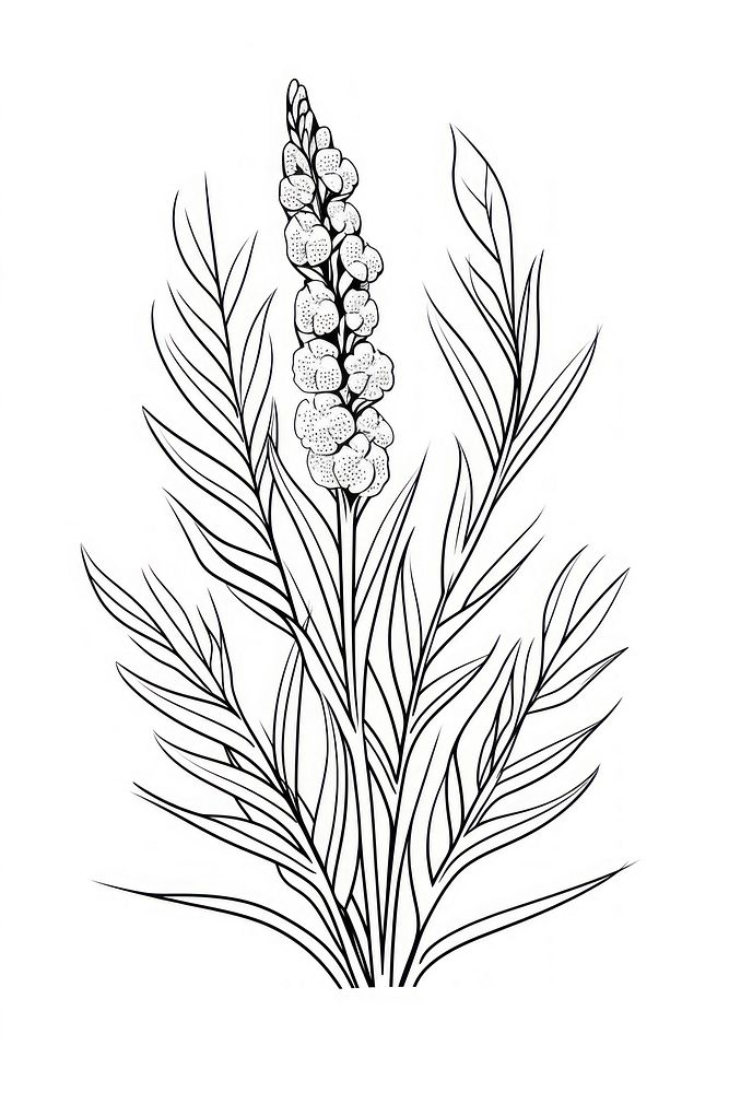 Plant sketch drawing flower. AI generated Image by rawpixel.
