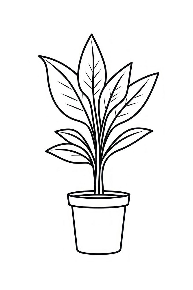 Plant sketch drawing white. AI generated Image by rawpixel.