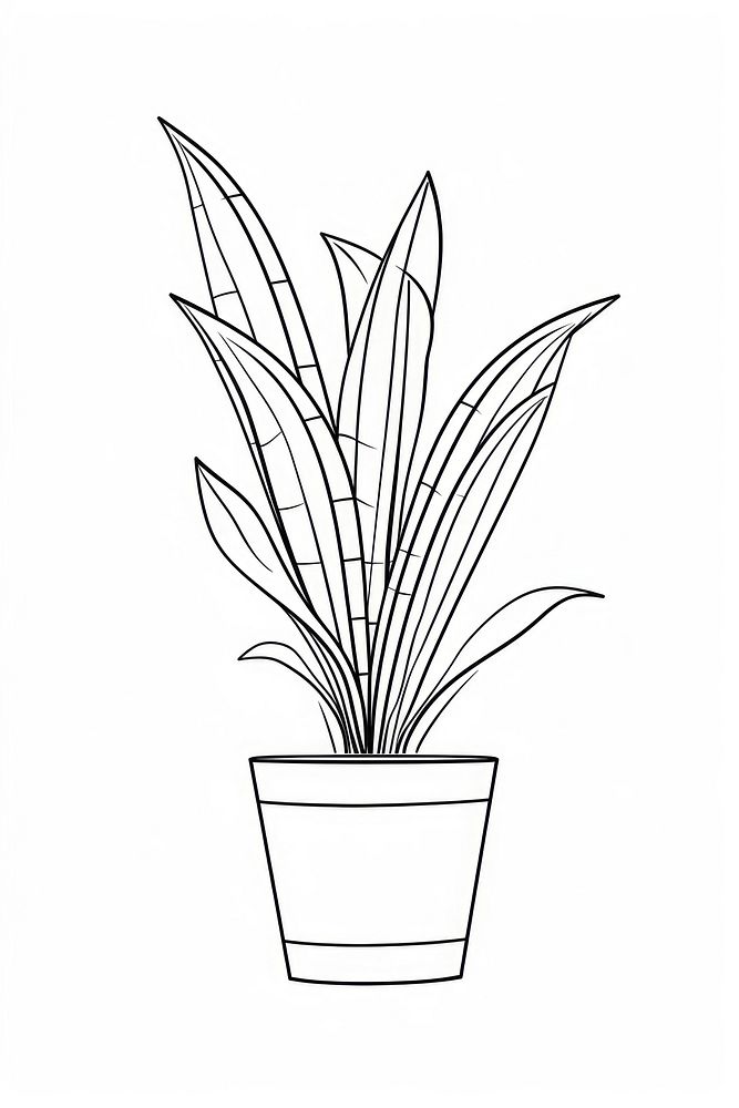 Plant sketch drawing line. AI generated Image by rawpixel.