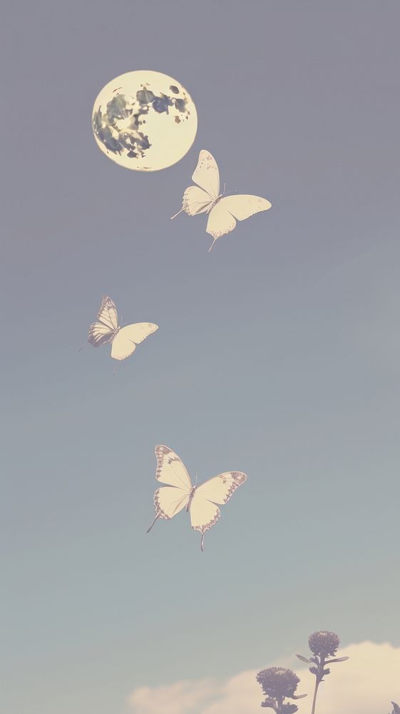 Butterflies and the moon outdoors nature flying. AI generated Image by rawpixel.