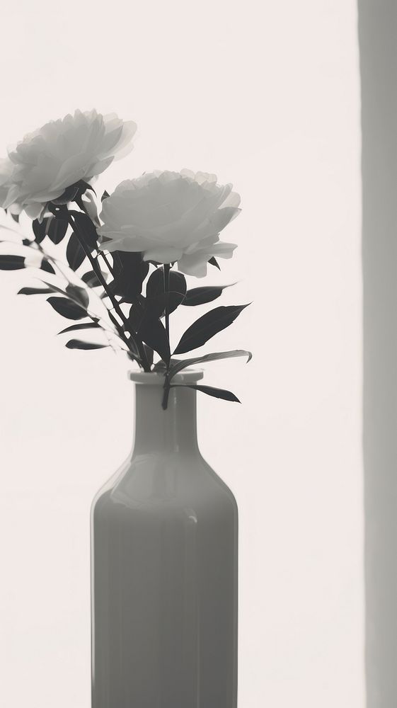 Flower in the vase plant white monochrome. AI generated Image by rawpixel.