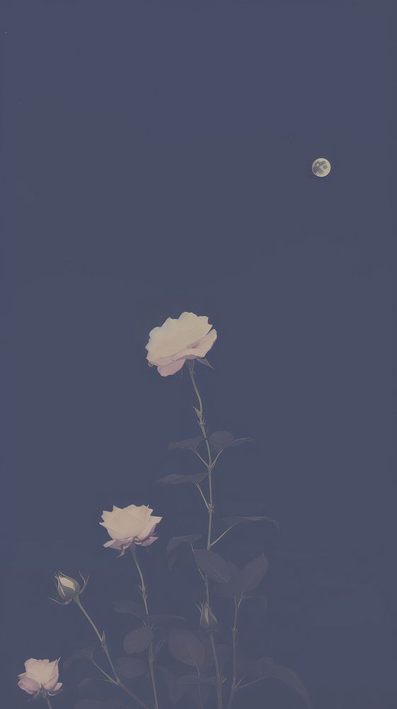 Night sky rose astronomy outdoors. AI generated Image by rawpixel.
