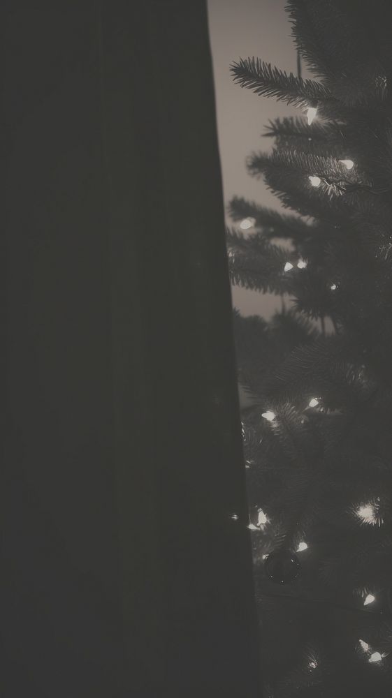 Christmas tree plant light black. AI generated Image by rawpixel.