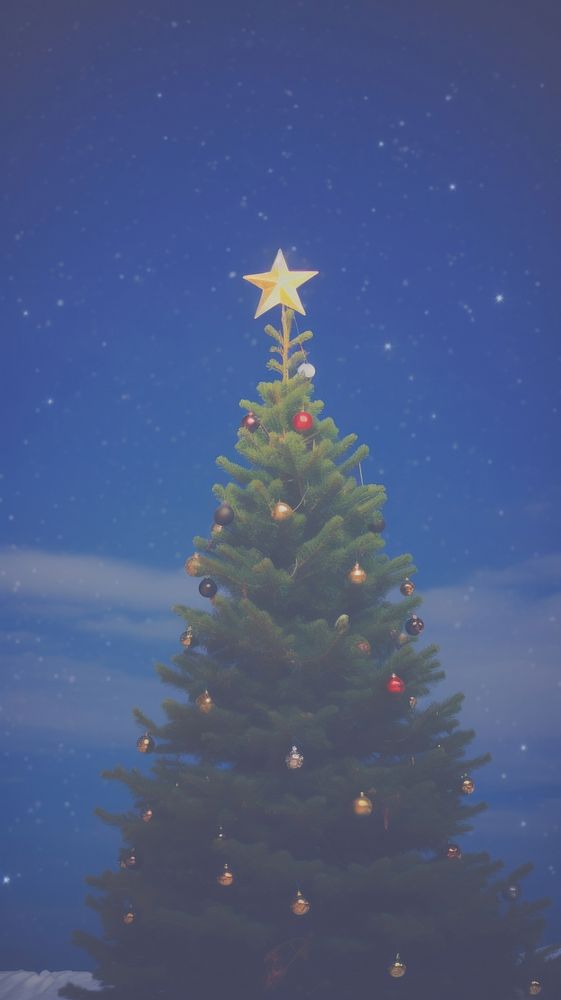 Christmas tree plant pine illuminated. AI generated Image by rawpixel.