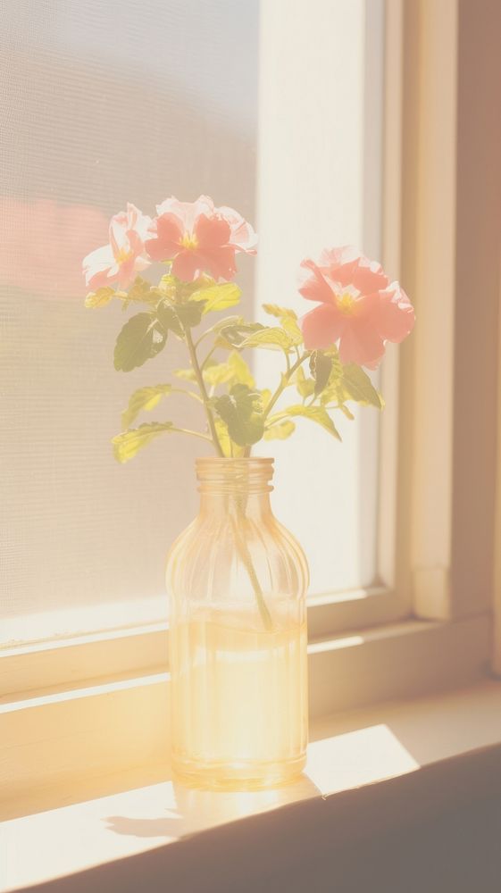 Flower in the vase windowsill wall jar. AI generated Image by rawpixel.