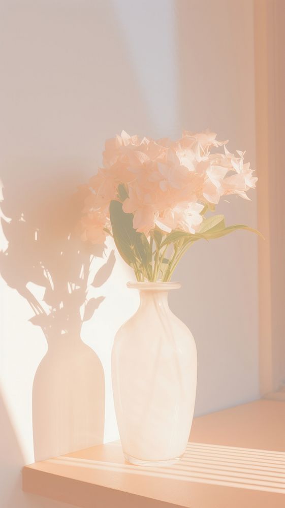 Flower in the vase plant decoration windowsill. AI generated Image by rawpixel.