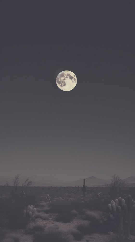 Desert night moon astronomy. 