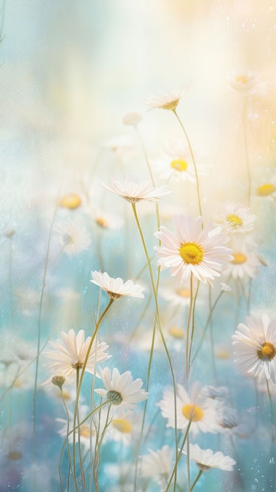 Daisy flower outdoors blossom. AI generated Image by rawpixel.