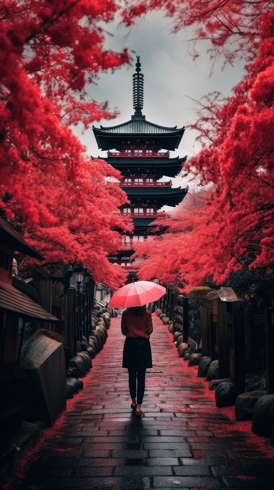 Japan autumn adult spirituality. AI generated Image by rawpixel.