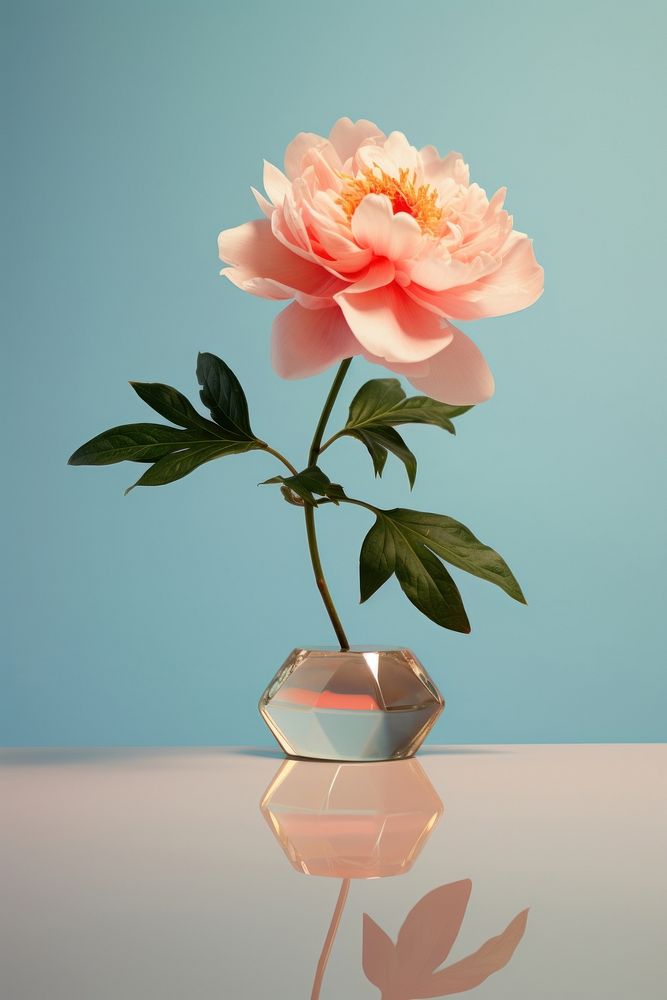 Peony standing on ceramic geometric flower plant rose. AI generated Image by rawpixel.