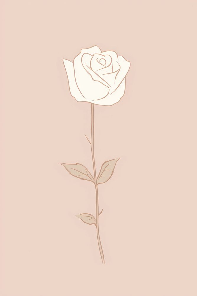Rose cartoon drawing flower. AI generated Image by rawpixel.