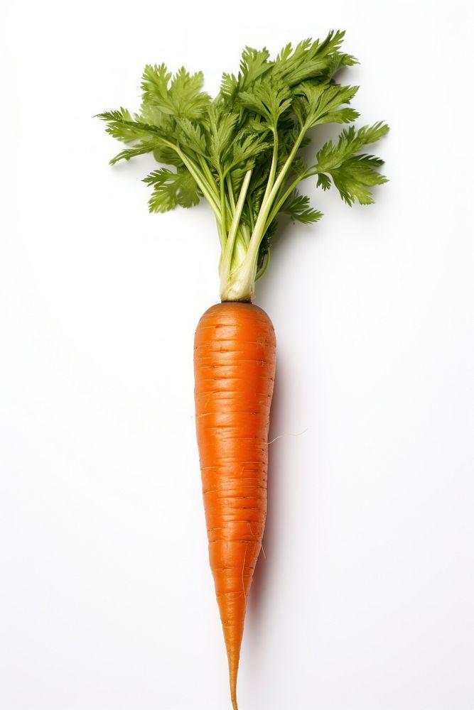 Single carrot vegetable plant food. AI generated Image by rawpixel.
