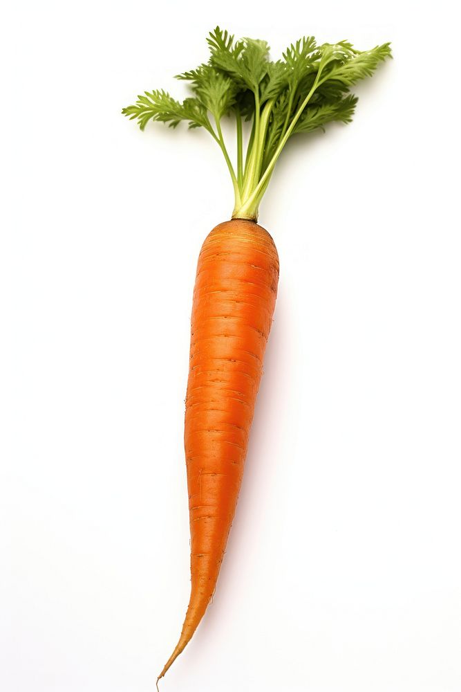 Single carrot vegetable plant food. AI generated Image by rawpixel.