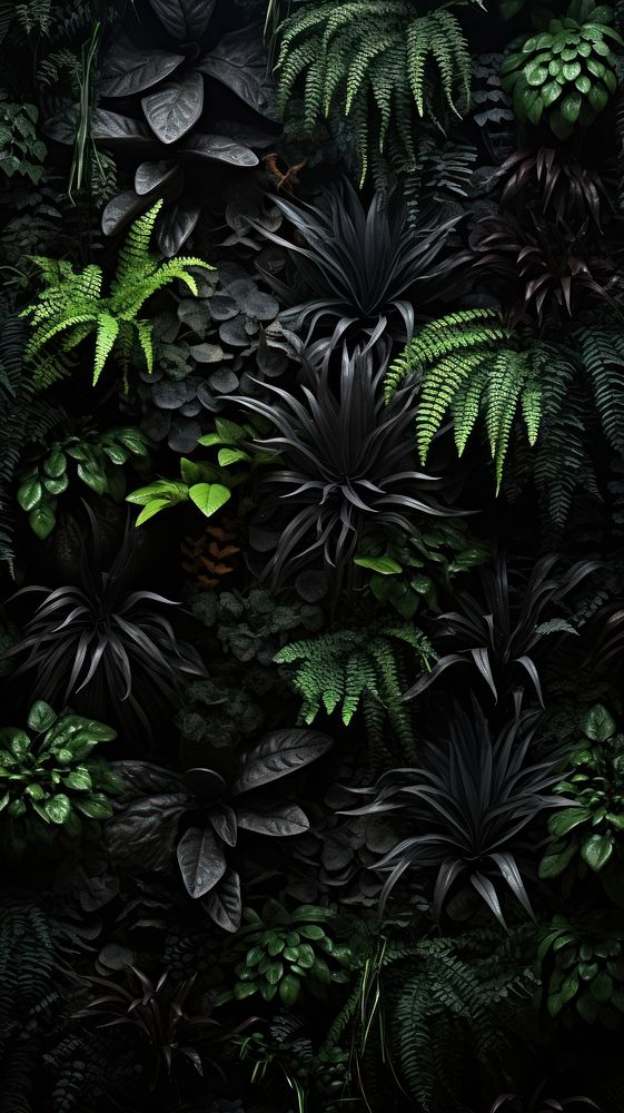 Black plants outdoors nature tree. AI generated Image by rawpixel.